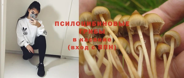 хмурый Армянск